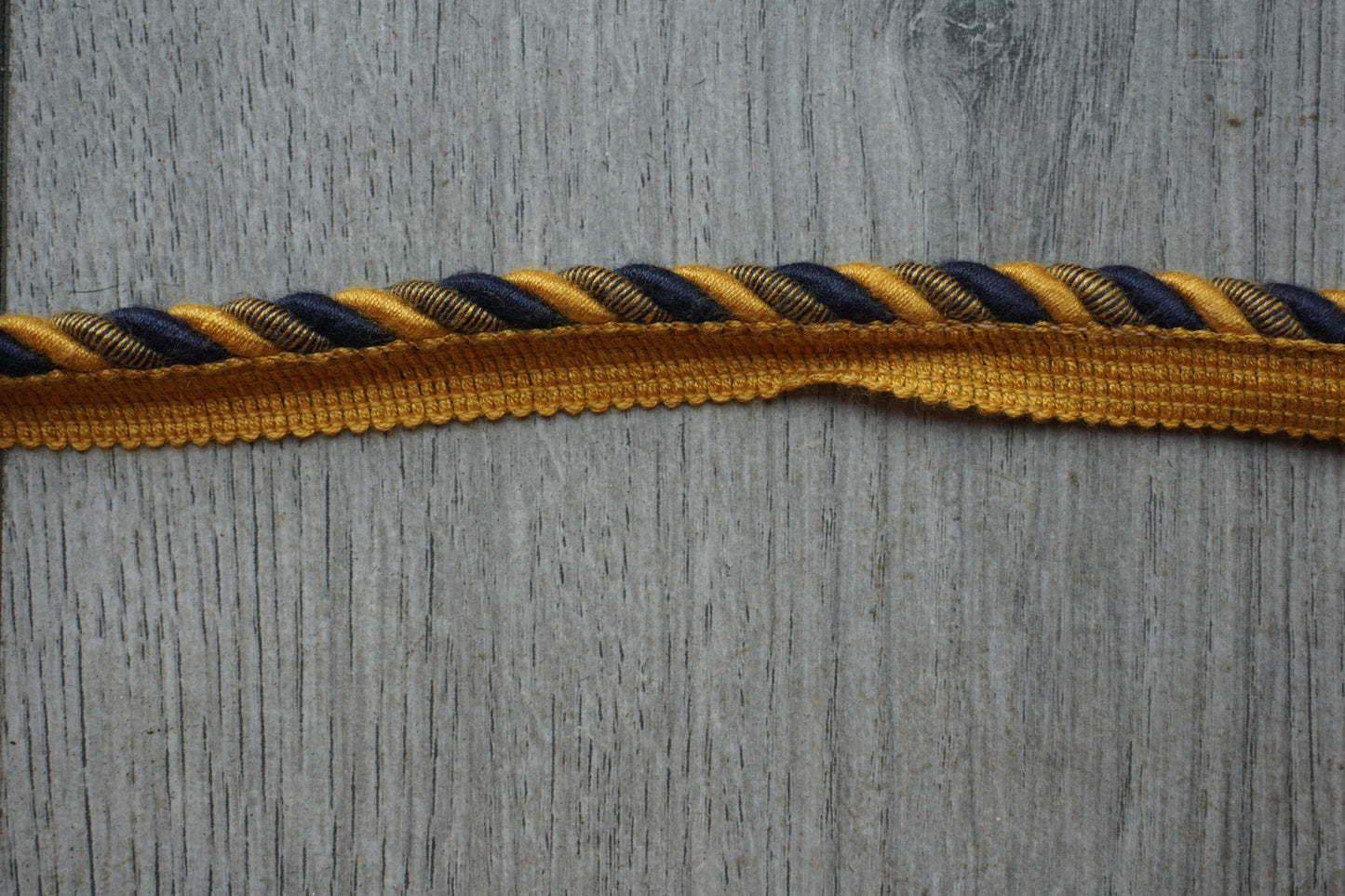 Cord with Lip Trim – Blue and Gold