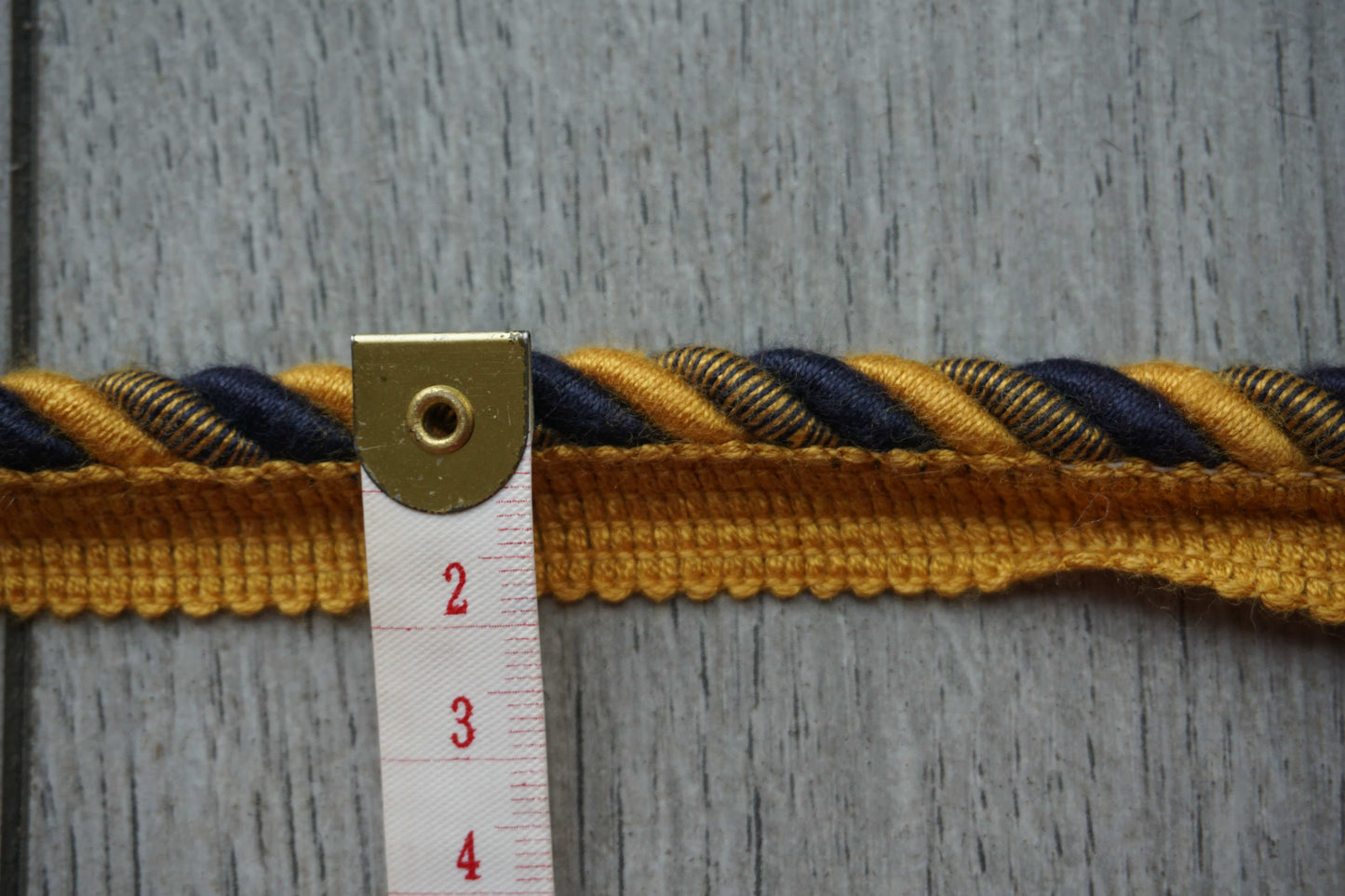Cord with Lip Trim – Blue and Gold