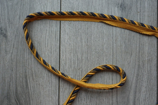 Cord with Lip Trim – Blue and Gold