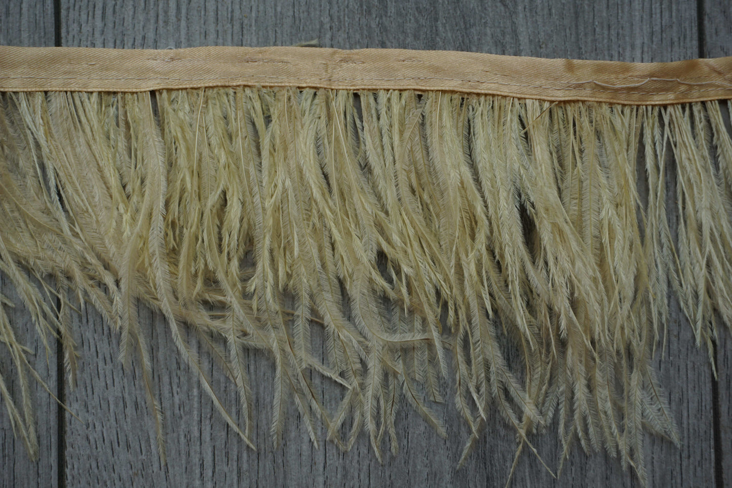 Gold Ostrich Feather Trim
