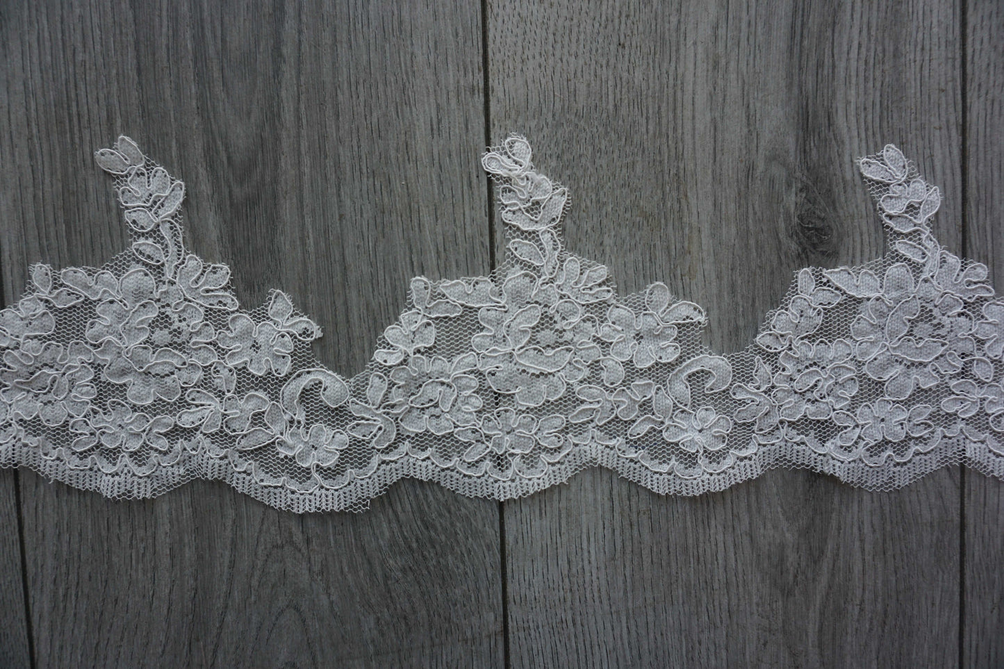 Ivory Lace Trim with Scalloped Edge